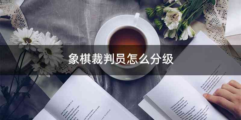 象棋裁判员怎么分级