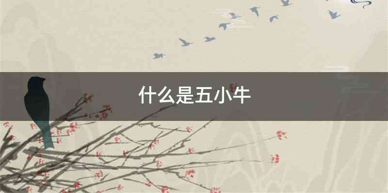 什么是五小牛