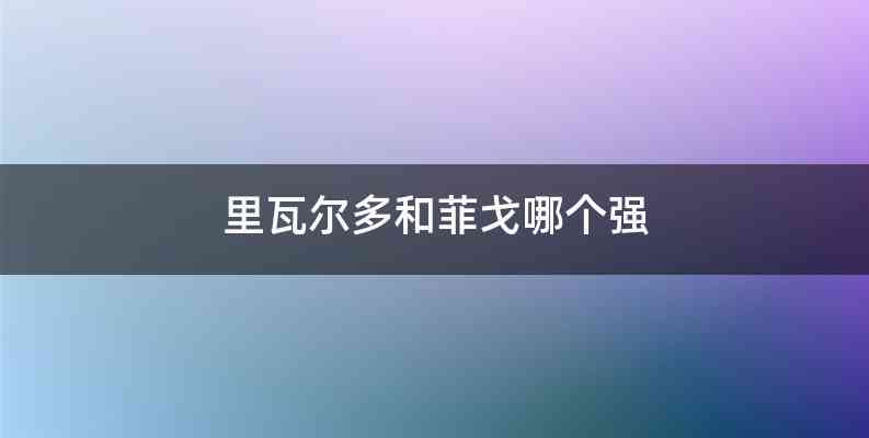 里瓦尔多和菲戈哪个强