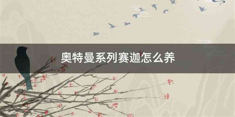 奥特曼系列赛迦怎么养