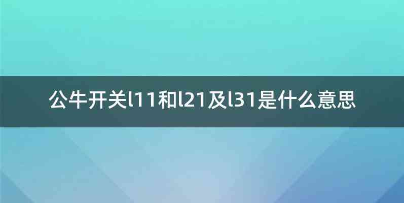 公牛开关l11和l21及l31是什么意思