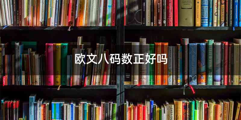 欧文八码数正好吗