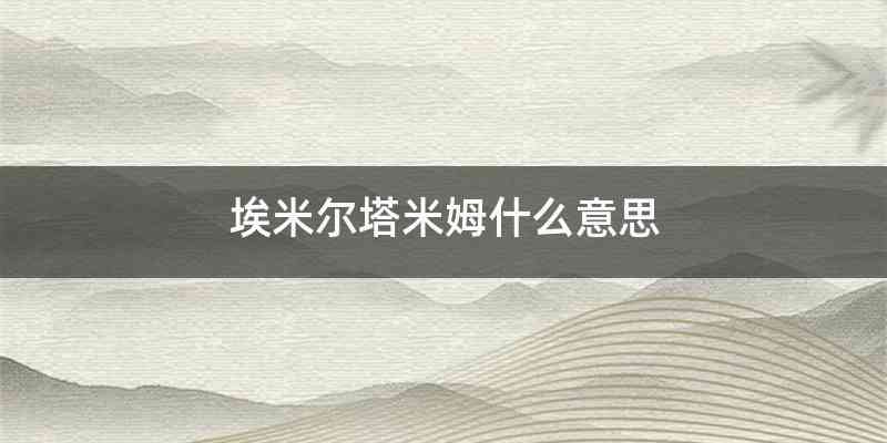 埃米尔塔米姆什么意思