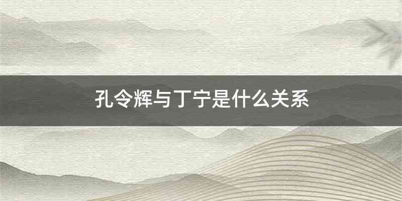 孔令辉与丁宁是什么关系