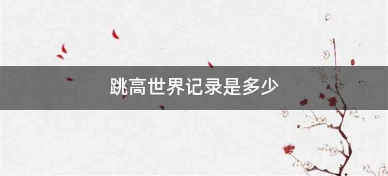 跳高世界记录是多少