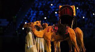 卡塔尔世界杯的开幕式