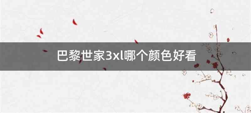 巴黎世家3xl哪个颜色好看