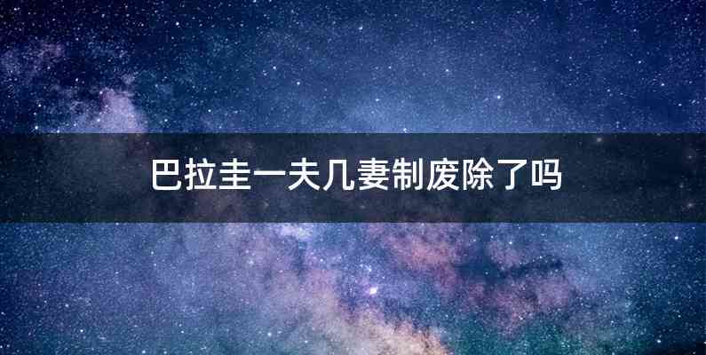 巴拉圭一夫几妻制废除了吗