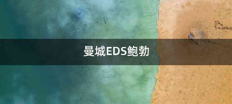 曼城EDS鲍勃