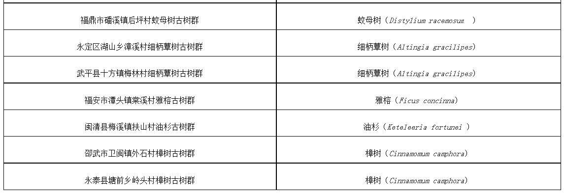 共20片！第三批“福建最美古树群”名单公示