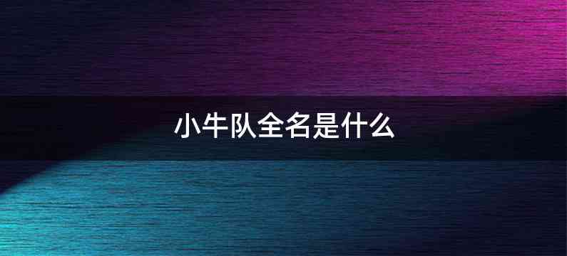 小牛队全名是什么