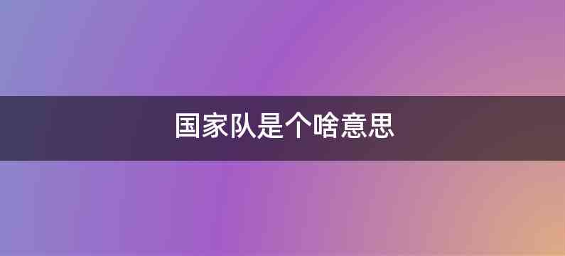 国家队是个啥意思