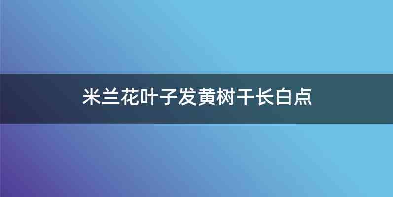 米兰花叶子发黄树干长白点