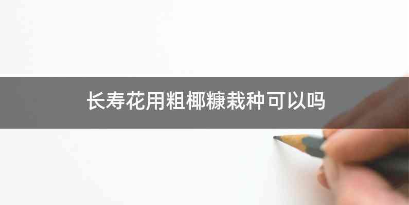 长寿花用粗椰糠栽种可以吗