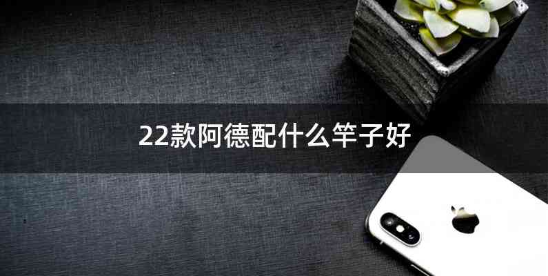 22款阿德配什么竿子好