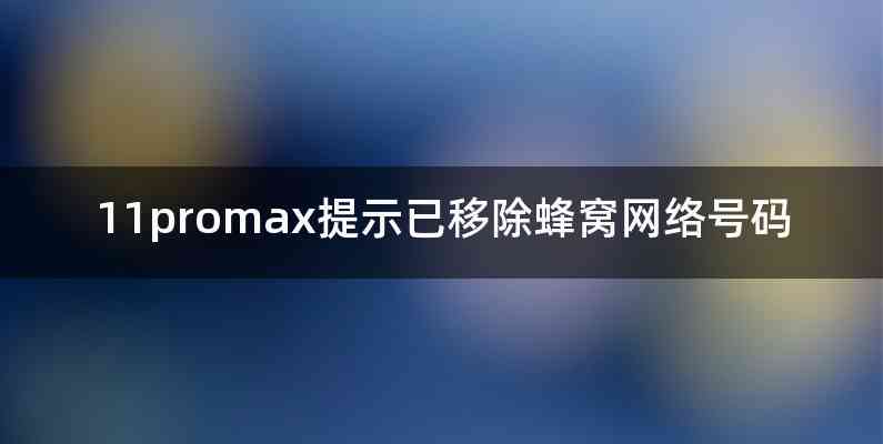 11promax提示已移除蜂窝网络号码
