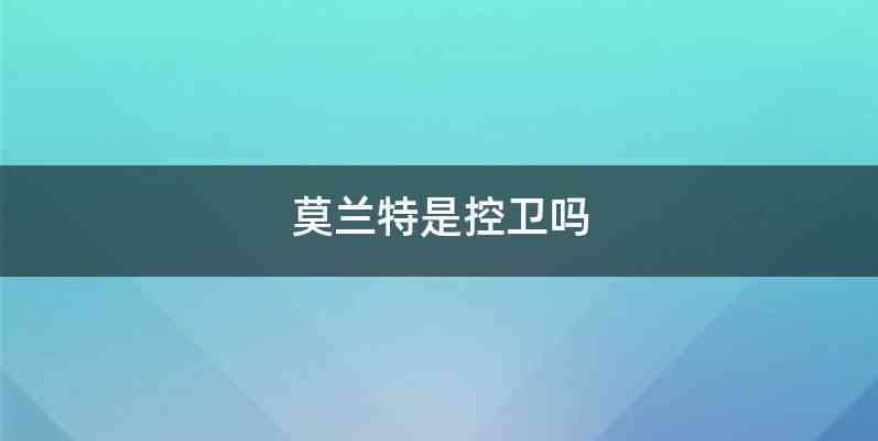 莫兰特是控卫吗