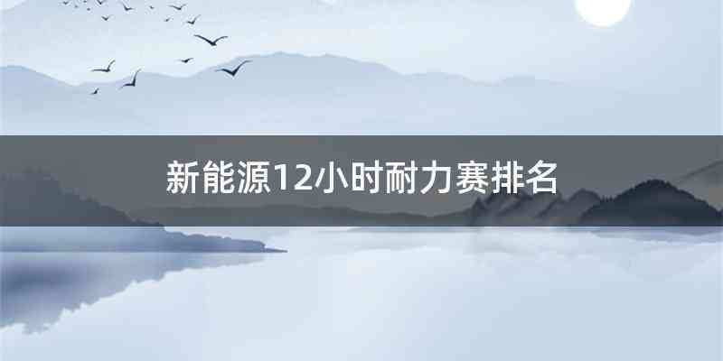 新能源12小时耐力赛排名