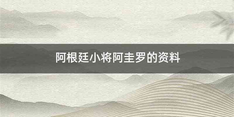 阿根廷小将阿圭罗的资料