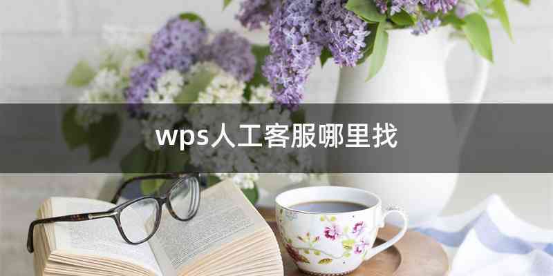 wps人工客服哪里找