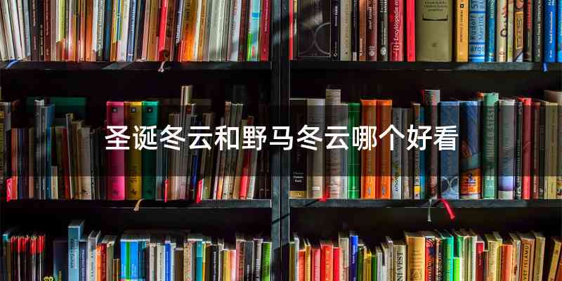 圣诞冬云和野马冬云哪个好看