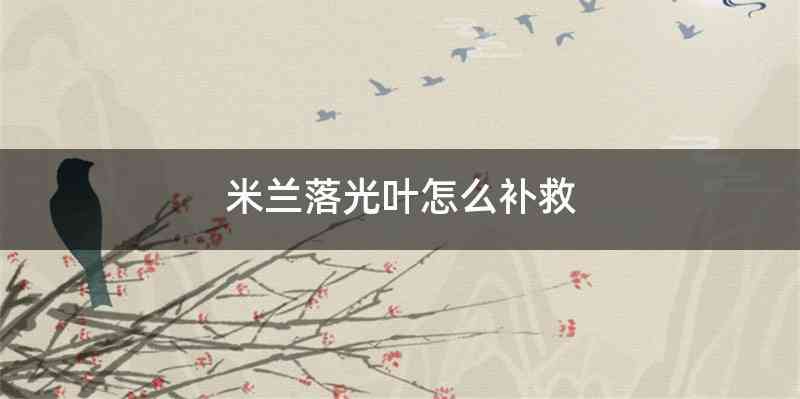 米兰落光叶怎么补救