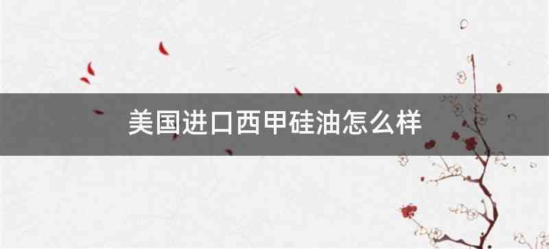 美国进口西甲硅油怎么样