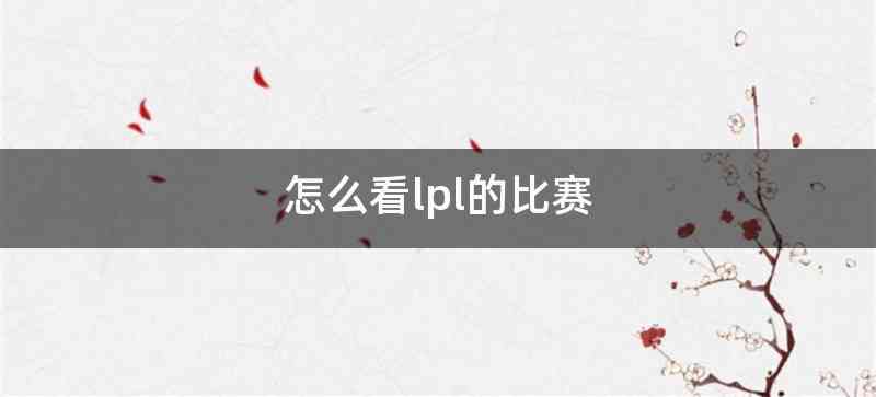 怎么看lpl的比赛