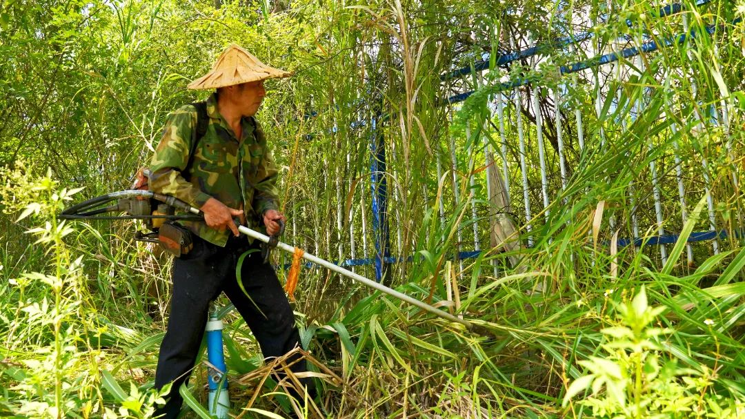 闽清县白中镇：关注民生所系 优化营商环境