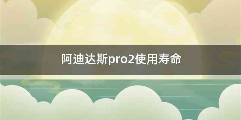 阿迪达斯pro2使用寿命