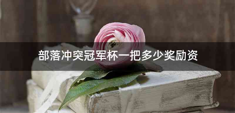 部落冲突冠军杯一把多少奖励资