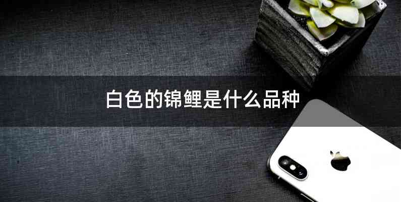 白色的锦鲤是什么品种