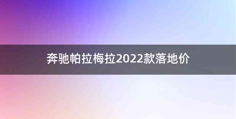 奔驰帕拉梅拉2022款落地价