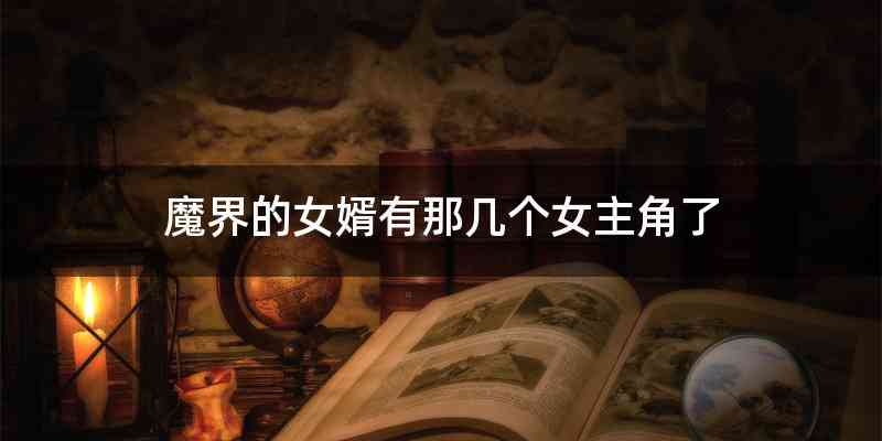 魔界的女婿有那几个女主角了