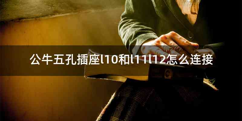 公牛五孔插座l10和l11l12怎么连接