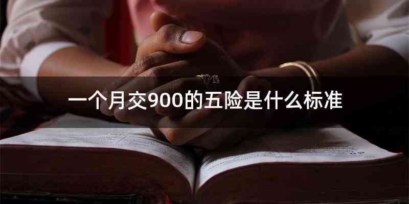 一个月交900的五险是什么标准