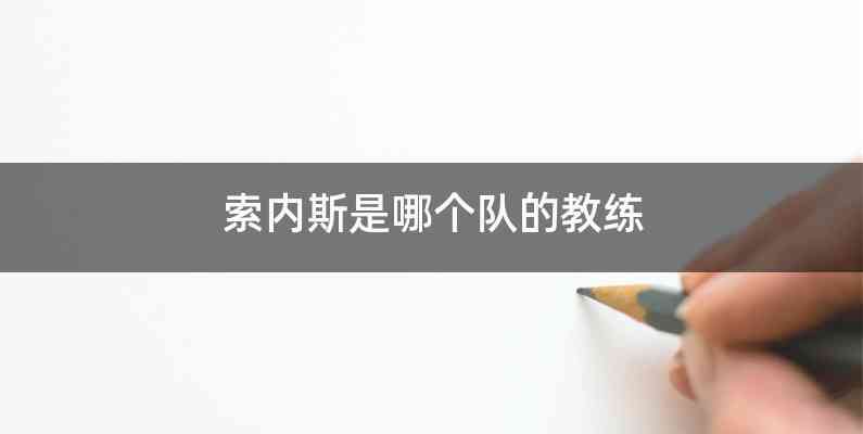 索内斯是哪个队的教练