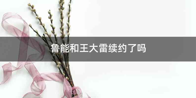 鲁能和王大雷续约了吗