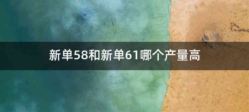 新单58和新单61哪个产量高