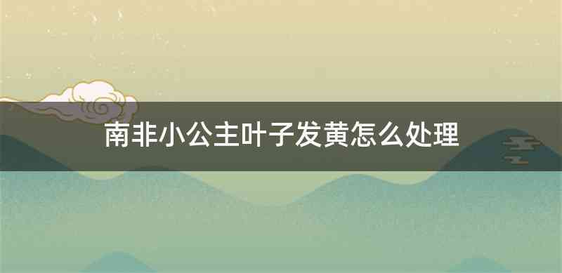 南非小公主叶子发黄怎么处理