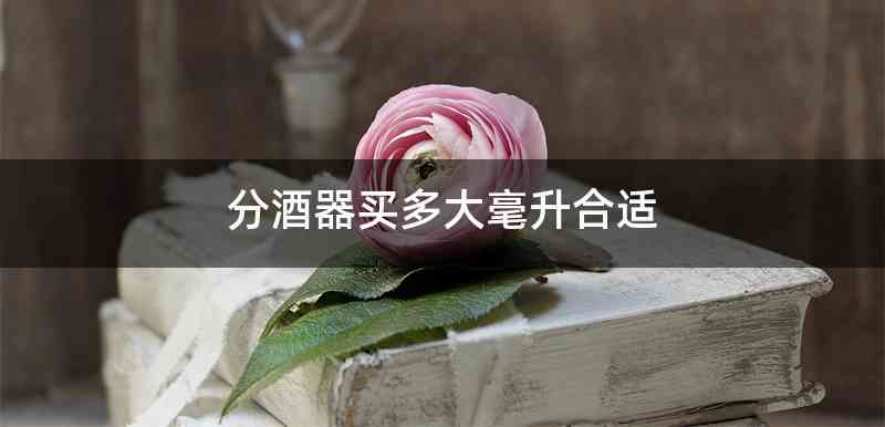 分酒器买多大毫升合适