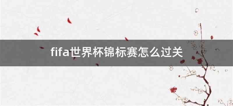 fifa世界杯锦标赛怎么过关