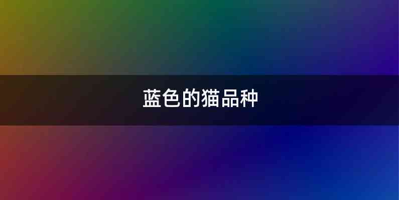 蓝色的猫品种
