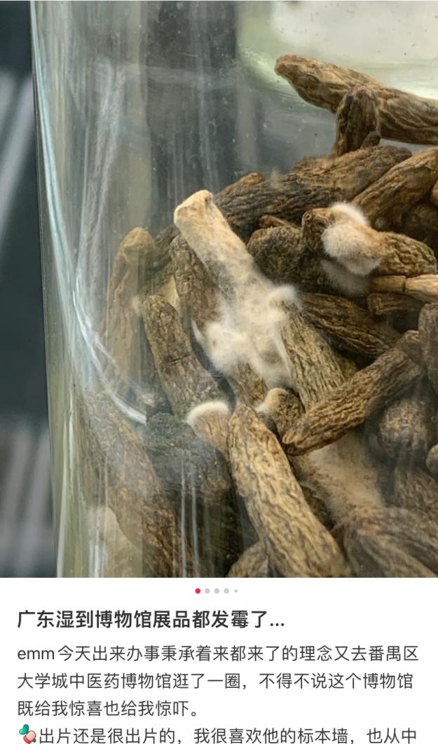 博物馆展品发霉？官方回应