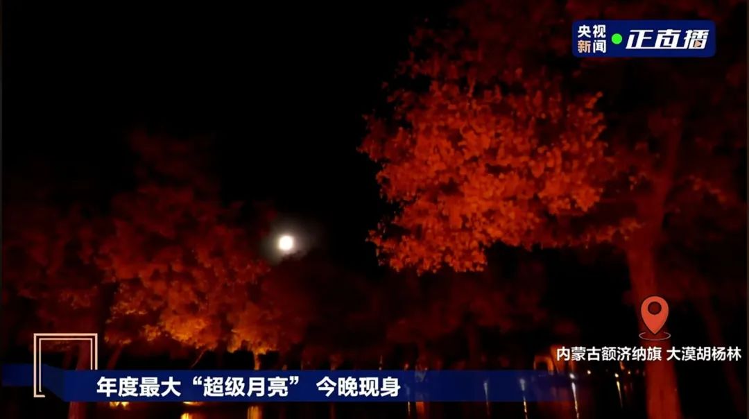 快看啊,超级大!福建的你看到了吗? 快看啊,超级大!福建的你看到了吗?