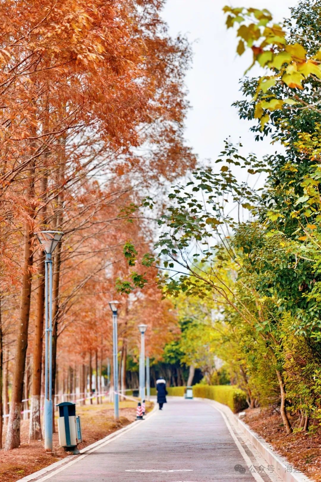 红了！快去打卡！连江这里美得正当时