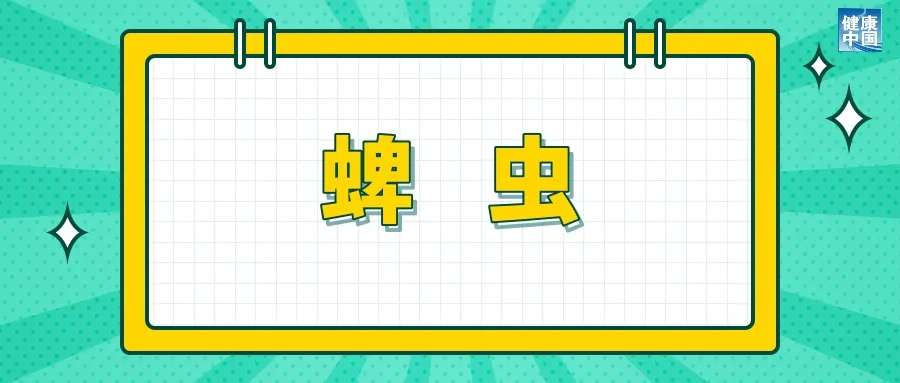 被这些小虫子咬了，处理方法跟被蚊子咬了不一样 | 科普时间