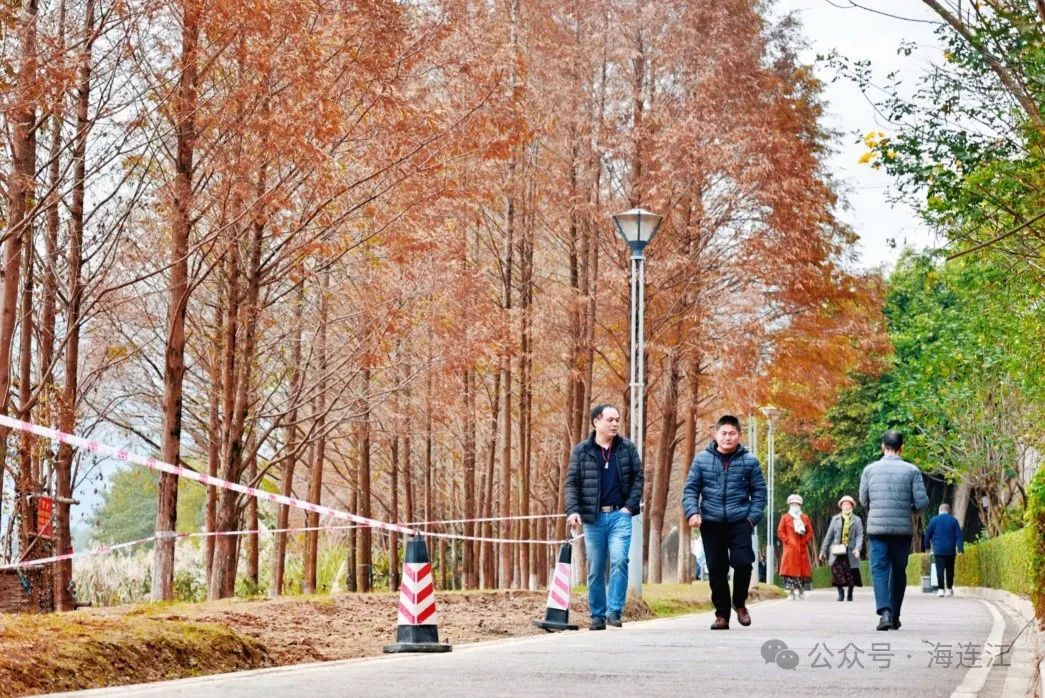 红了！快去打卡！连江这里美得正当时