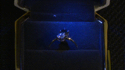 毕业礼物是钻石！每人两颗