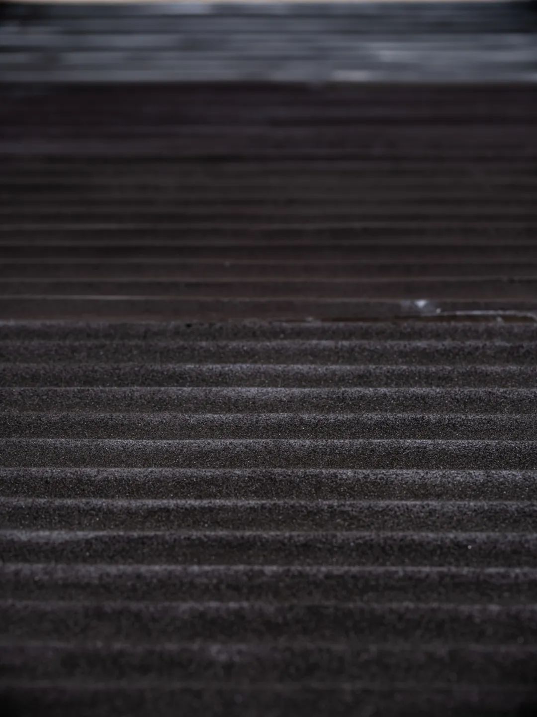 白川展讯 | 夜·叶·曳—路瑶漆艺展